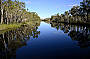 reflections off the water