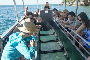 Fitzroy Island Glass Bottom Boat